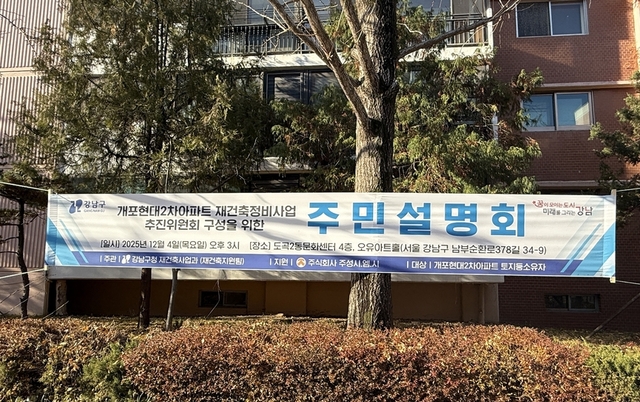 "목표는 70" 개포현대2, 추진위 구성 성큼…서면·전자동의 병행